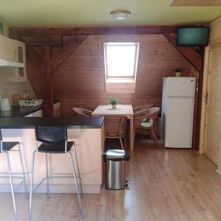 Apartments Skiareal U Vodarny Bedrichov 亚诺夫纳德尼索 外观 照片