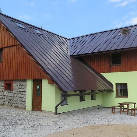 Apartments Skiareal U Vodarny Bedrichov 亚诺夫纳德尼索 外观 照片