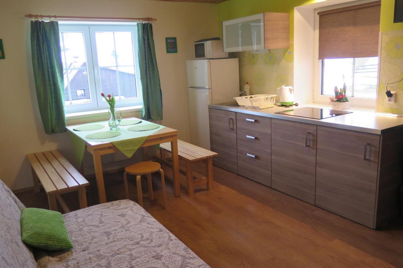 Apartments Skiareal U Vodarny Bedrichov 亚诺夫纳德尼索 外观 照片