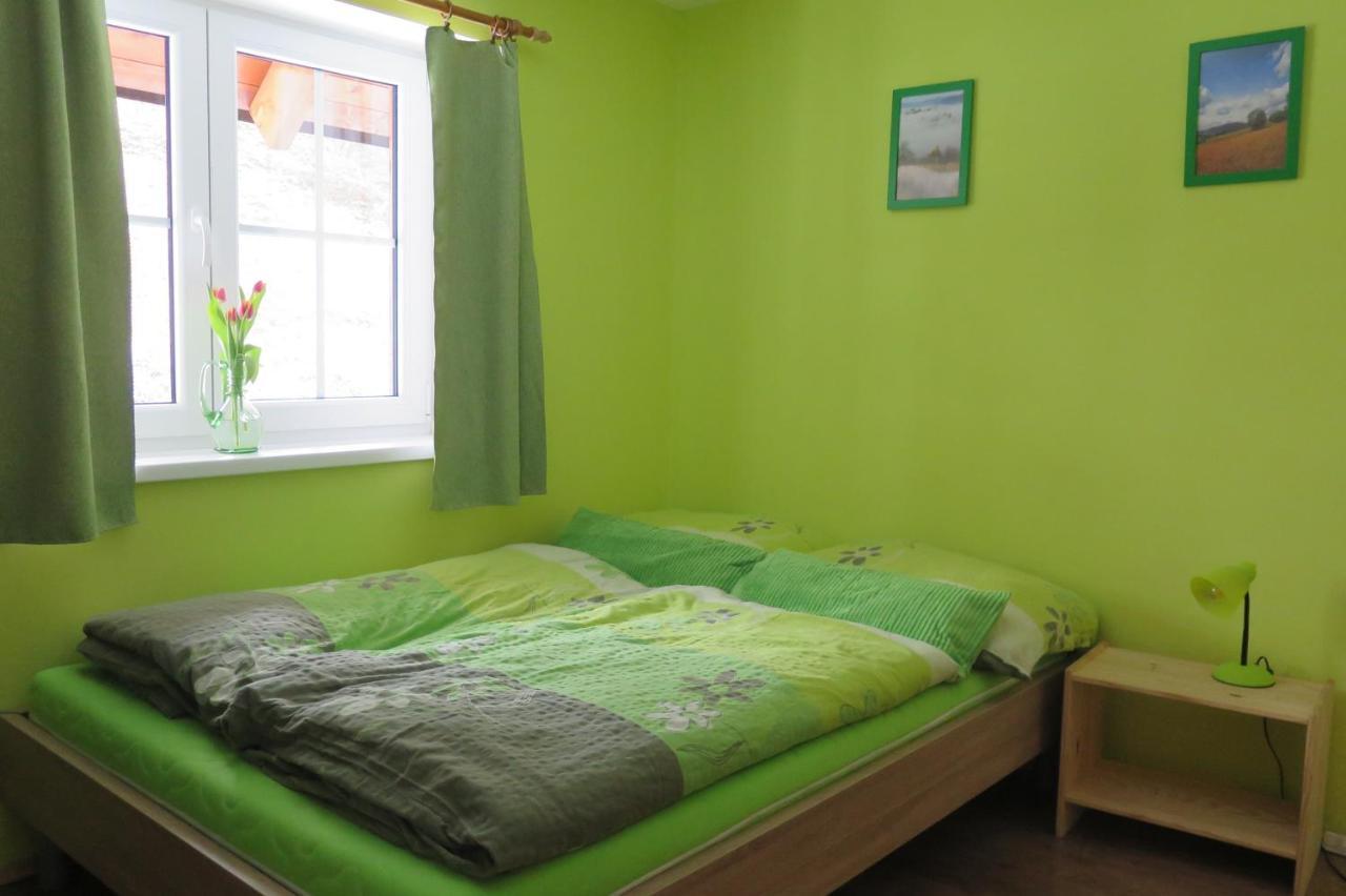 Apartments Skiareal U Vodarny Bedrichov 亚诺夫纳德尼索 外观 照片